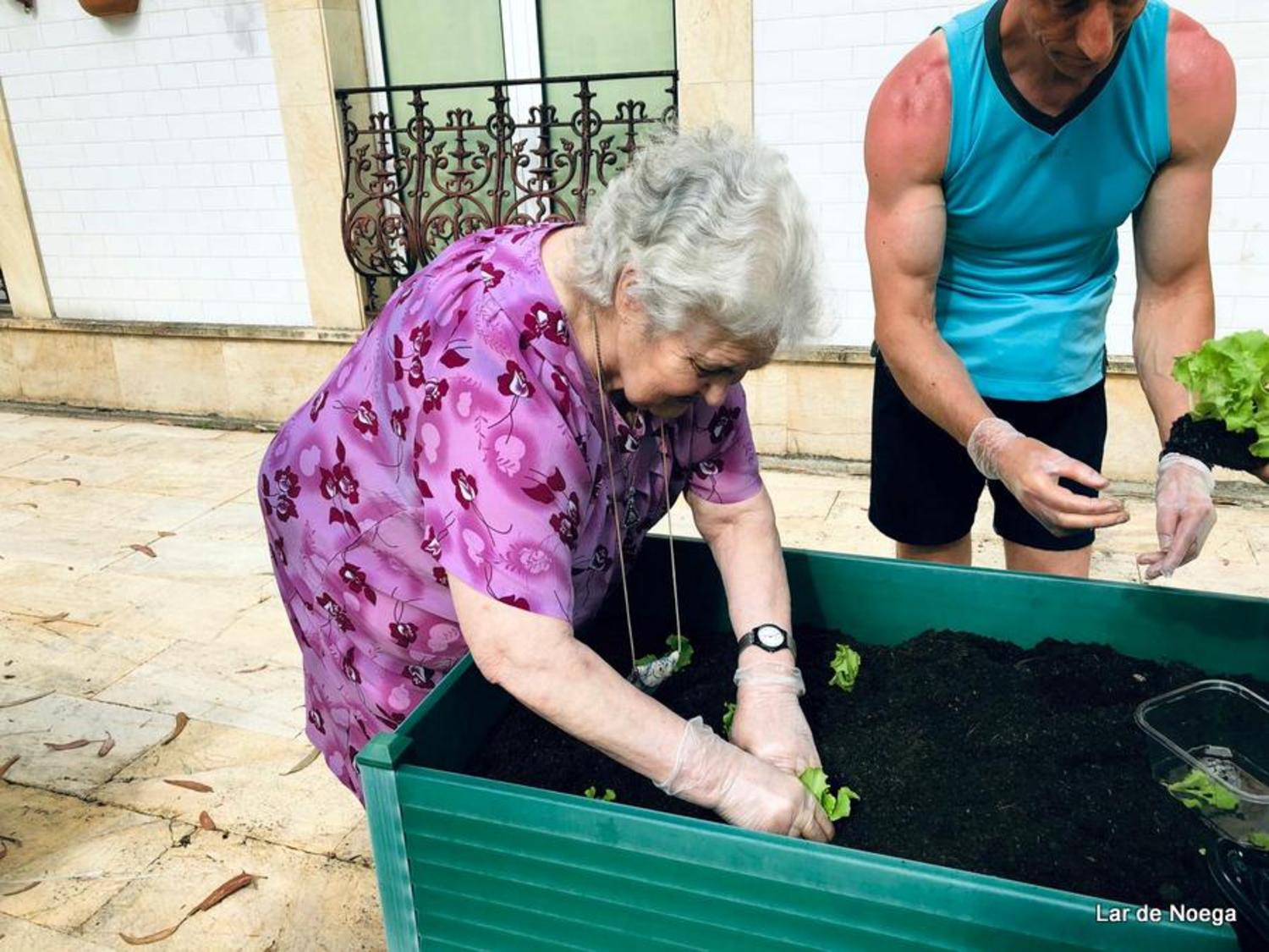Huerto Junio 2019