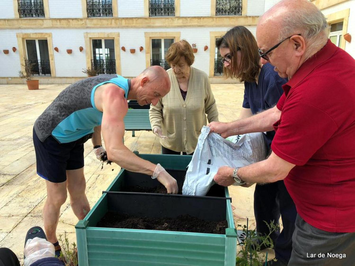 Huerto Junio 2019