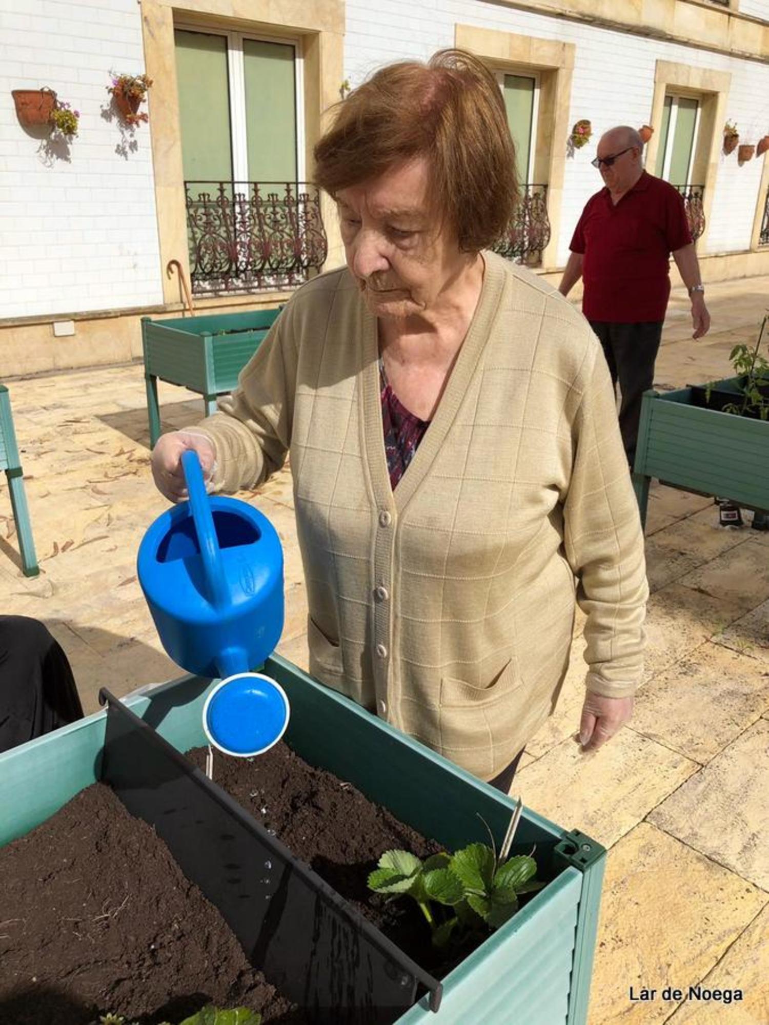 Huerto Junio 2019