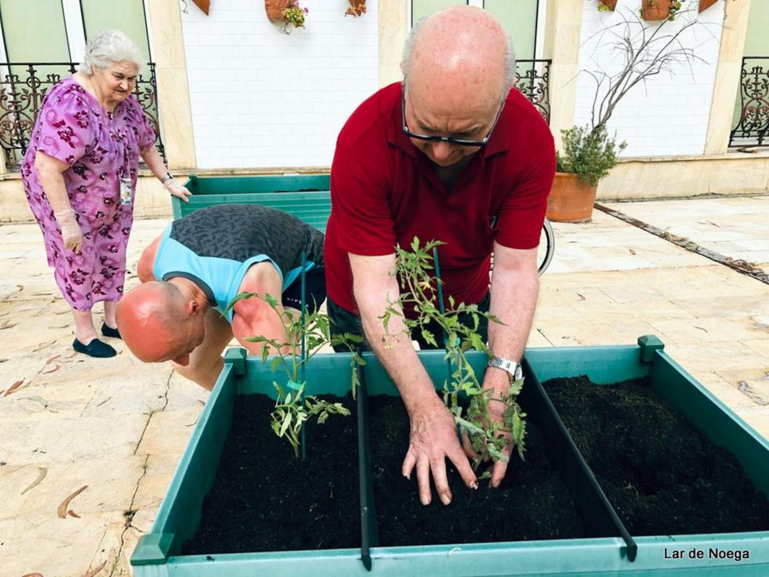 Huerto Junio 2019