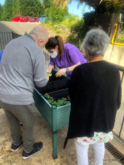 Retomando nuestro huerto