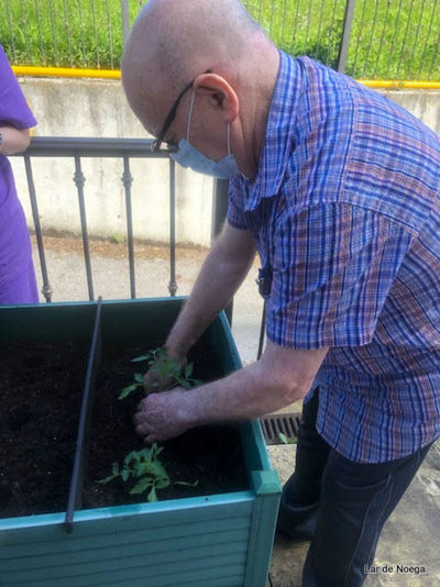 Retomando nuestro huerto