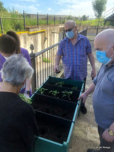 Retomando nuestro huerto