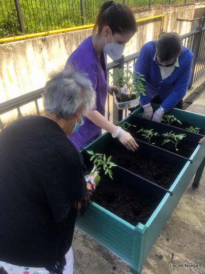 Retomando nuestro huerto