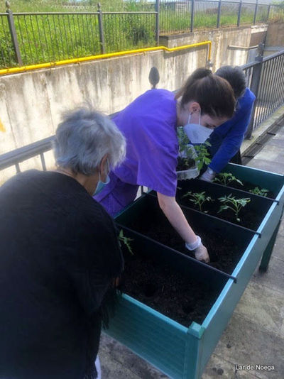 Retomando nuestro huerto