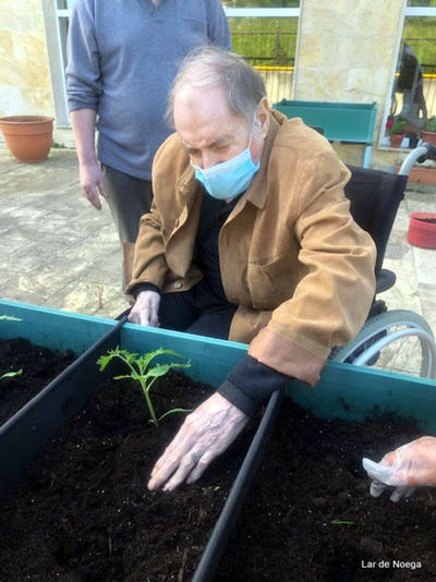 Retomando nuestro huerto