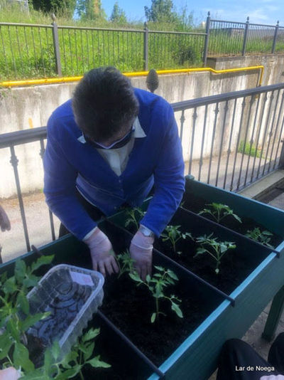 Retomando nuestro huerto