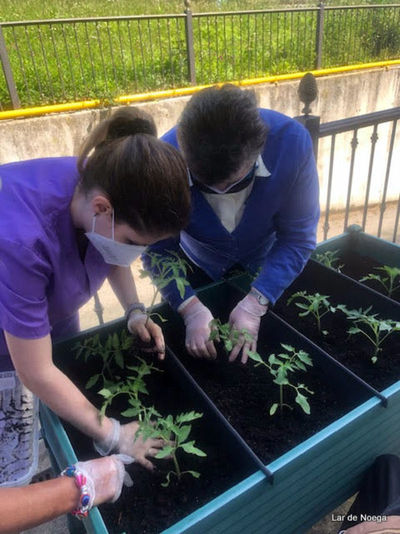 Retomando nuestro huerto
