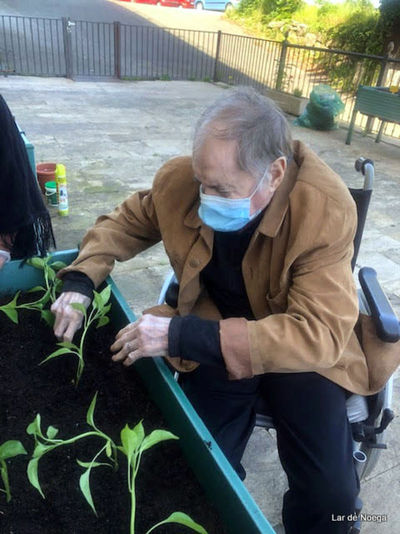 Retomando nuestro huerto