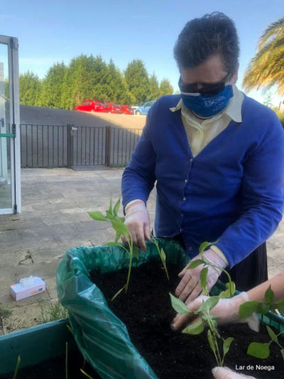 Retomando nuestro huerto