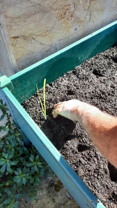 ACTIVIDADES PATIO MAYO 2022 ACTIVIDADES PATIO MAYO 2022