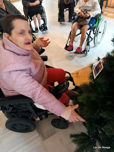 Arbol de Navidad 2024