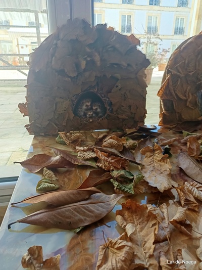Decoración Otoño 2025