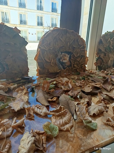 Decoración Otoño 2025