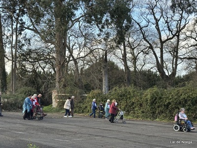 Marcha Solidaria Cancer