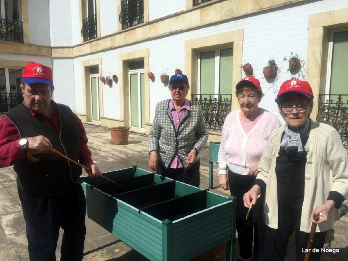 HUERTO 2016