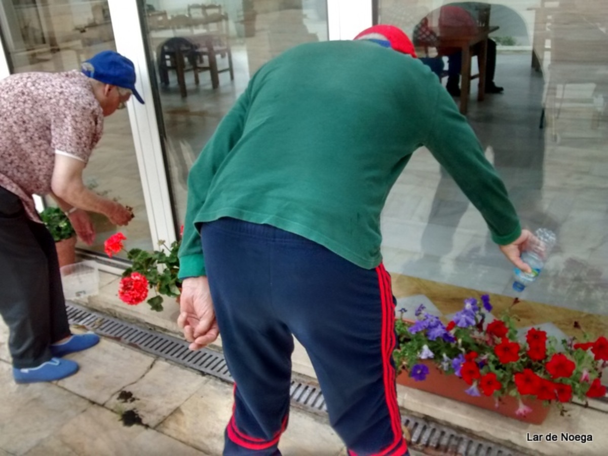 Recogiendo frutos de nuestro huerto ecológico