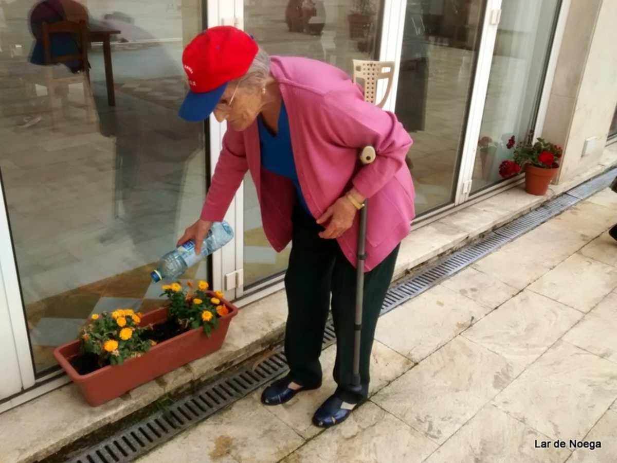 Recogiendo frutos de nuestro huerto ecológico