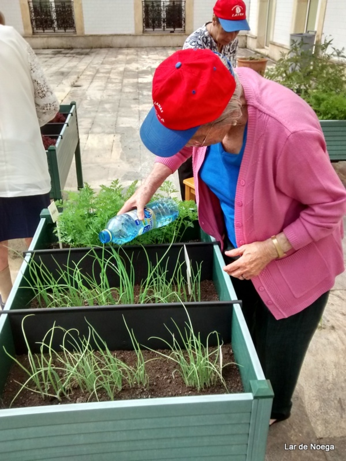 Recogiendo frutos de nuestro huerto ecológico