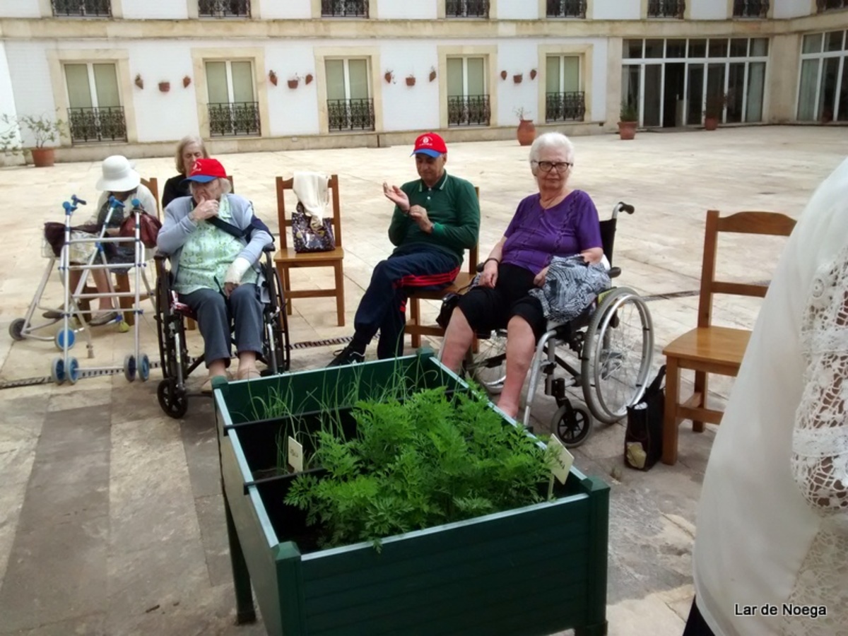 Recogiendo frutos de nuestro huerto ecológico