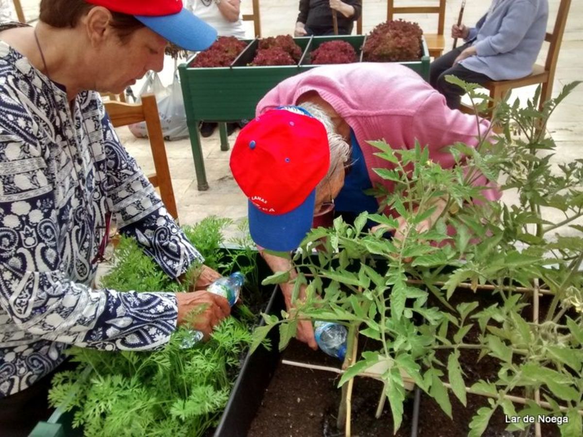 Recogiendo frutos de nuestro huerto ecológico
