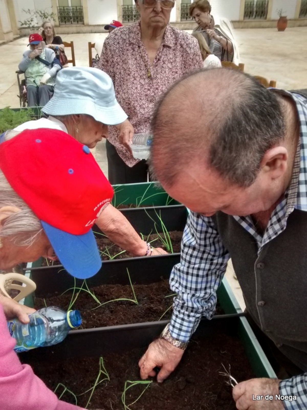 Recogiendo frutos de nuestro huerto ecológico