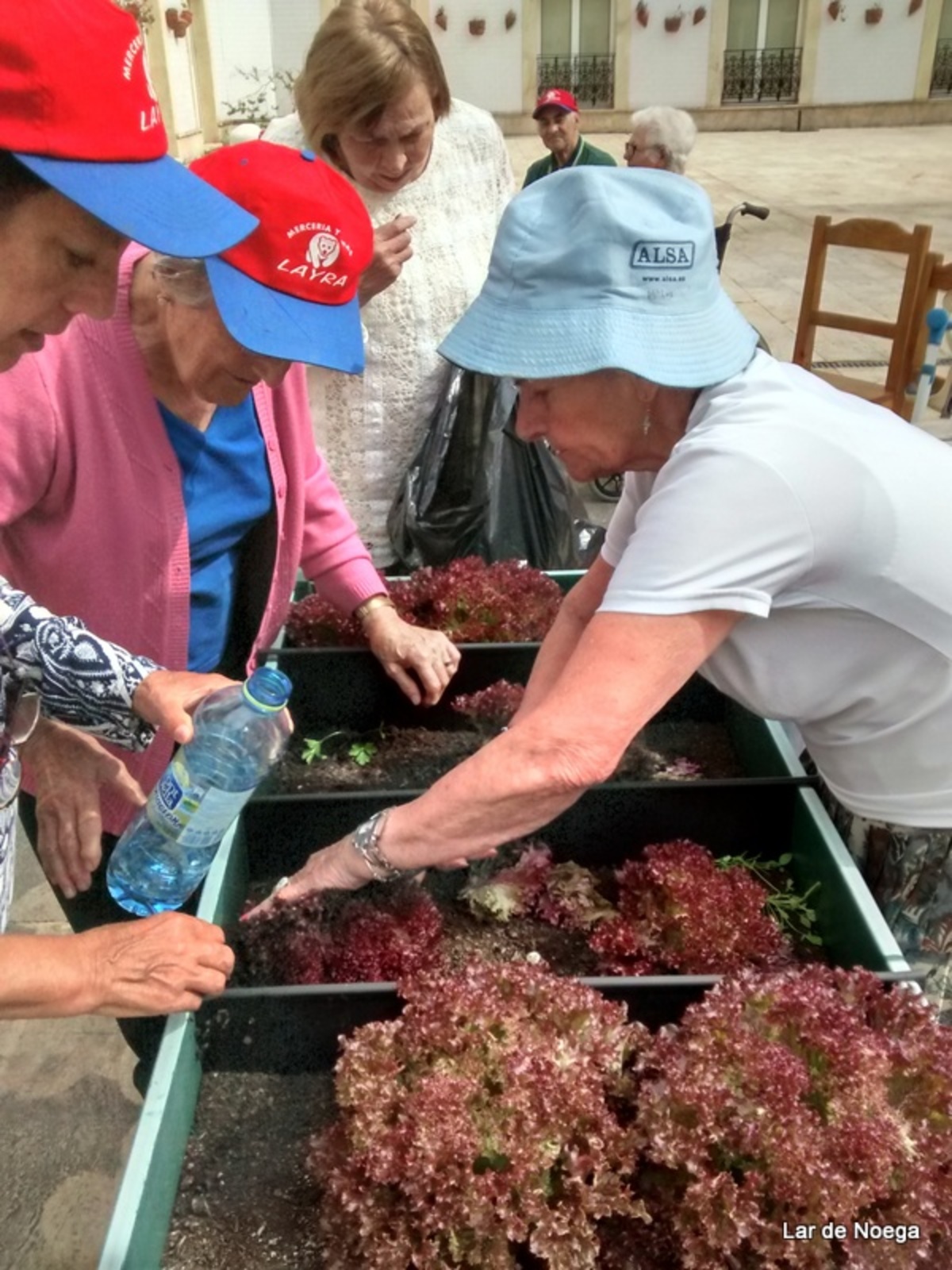 Recogiendo frutos de nuestro huerto ecológico