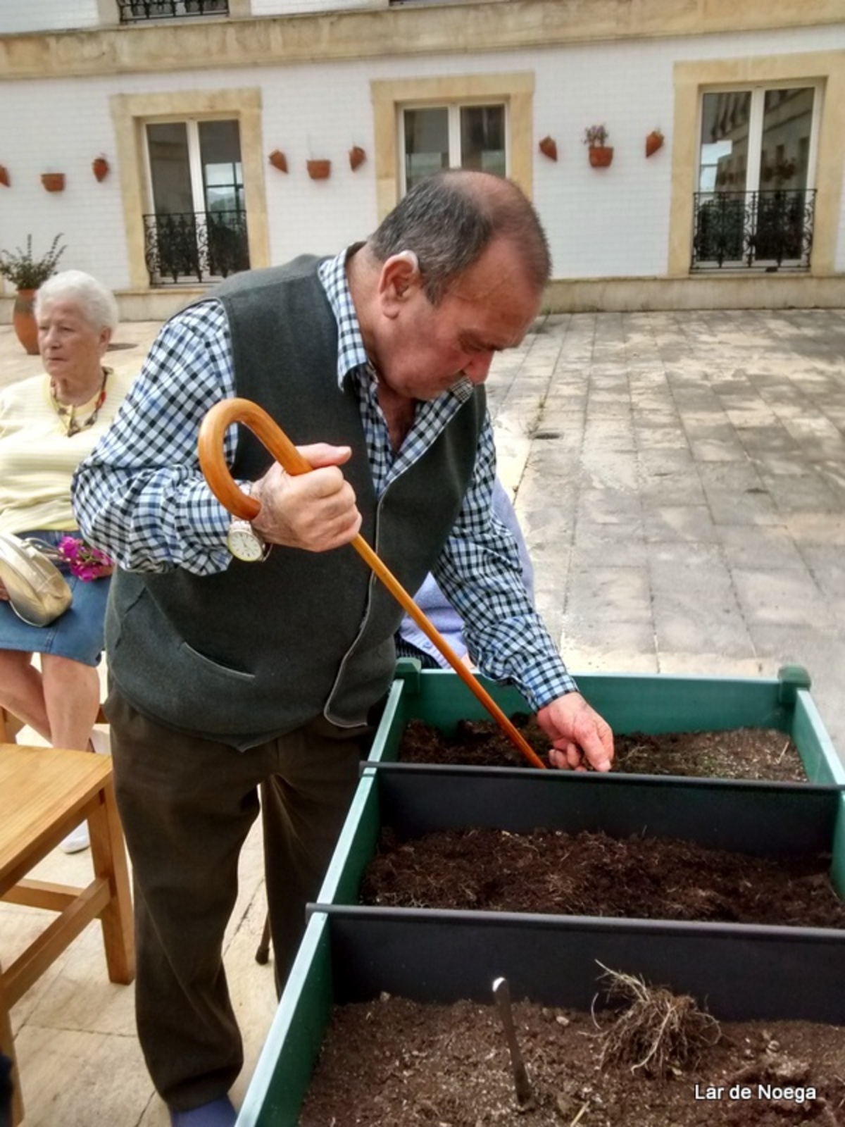 Recogiendo frutos de nuestro huerto ecológico