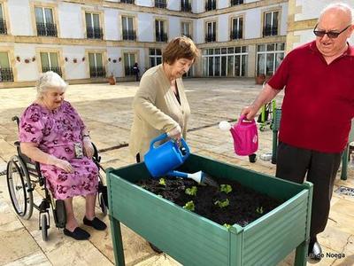 Ponemos a punto el huerto de Lar de Noega