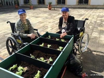 El Huerto de Lar de Noega: un divertido y beneficioso trabajo en equipo