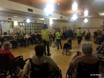 Lar de Noega estrecha lazos con estudiantes Erasmus