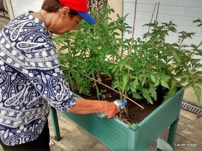 El Huerto de Lar de Noega avanza a buen ritmo