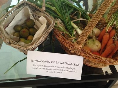 El huerto de Lar de Noega da sus frutos