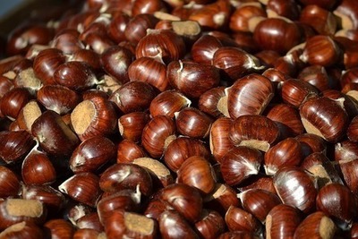 Ya huele a Amagüestu en Lar de Noega